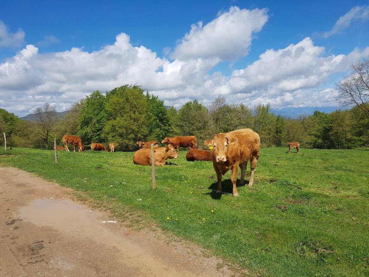 Santuari De La Salut De Sant Felíu de Pallarols Esterno foto