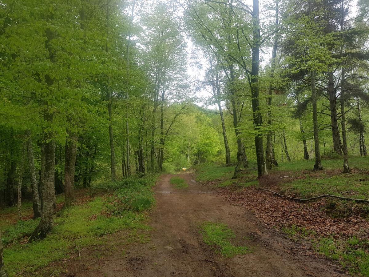 Santuari De La Salut De Sant Felíu de Pallarols Esterno foto