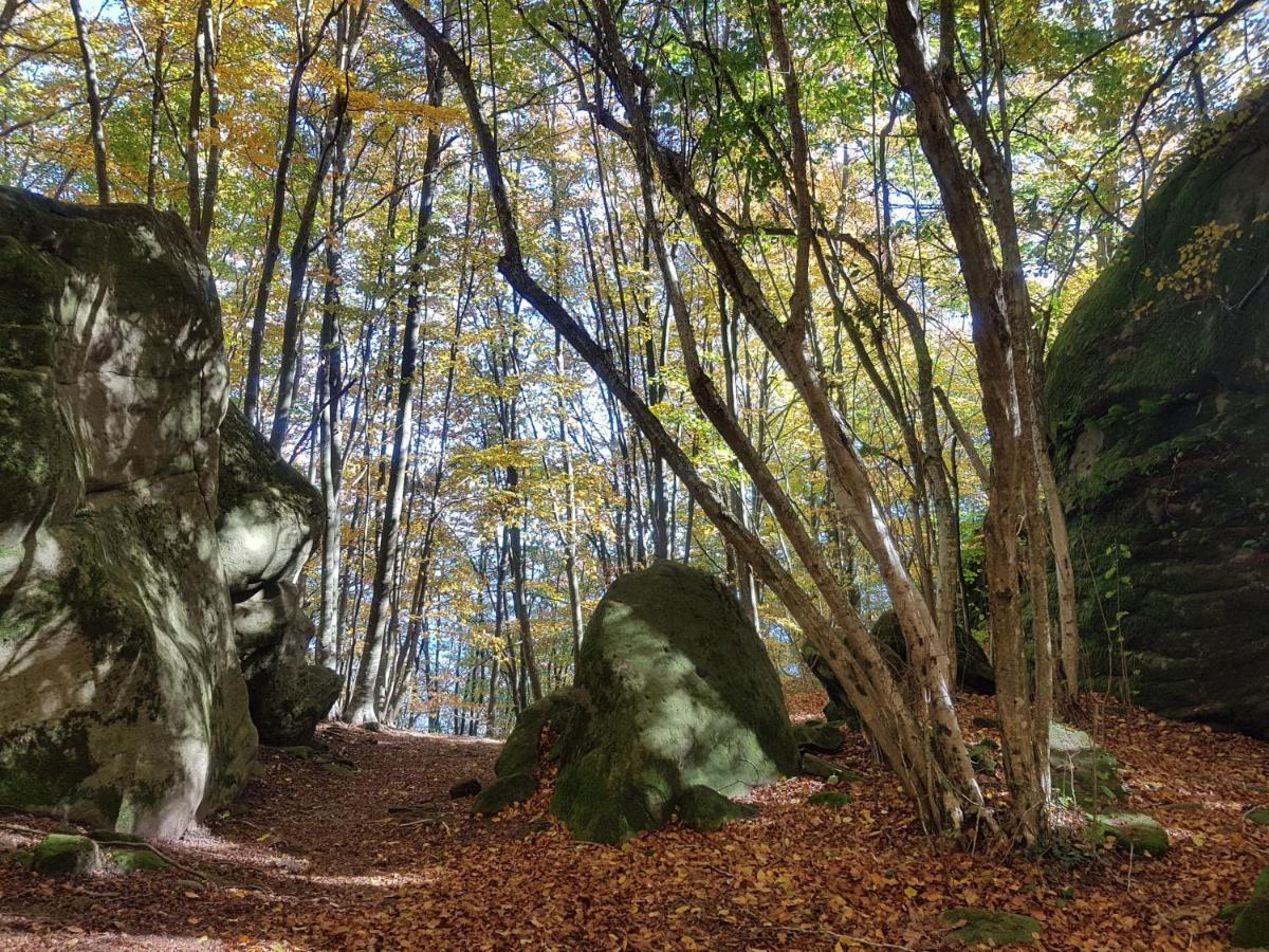 Santuari De La Salut De Sant Felíu de Pallarols Esterno foto