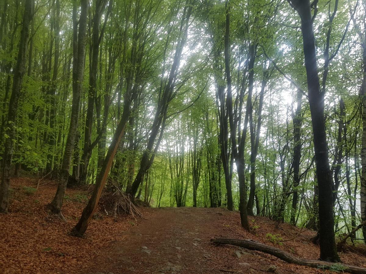 Santuari De La Salut De Sant Felíu de Pallarols Esterno foto