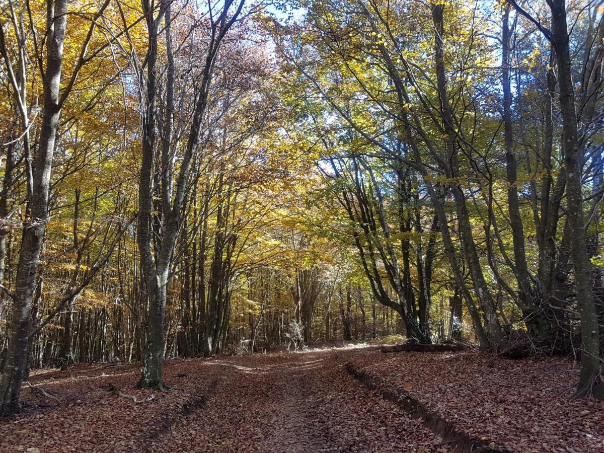 Santuari De La Salut De Sant Felíu de Pallarols Esterno foto